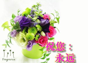  教师节图片最新图片，致敬辛勤的园丁，教师节最新图片，致敬辛勤的园丁--第1张