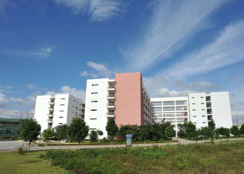  遂宁职业学院官网——探索优质教育资源，开启精彩人生之旅--第1张