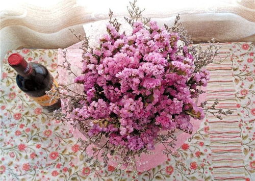  勿忘我干花图片，永恒的美丽与情感寄托，勿忘我干花，永恒的美丽与情感寄托的图片展示--第1张
