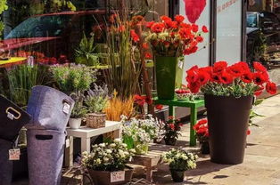  成都花店网上订花篮，浪漫与便捷的完美结合，成都网上订花篮，浪漫与便捷的完美结合--第1张