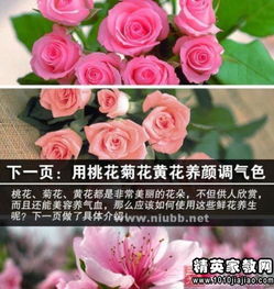  19朵玫瑰花朵数代表的含义，19朵玫瑰的花朵代表爱的最高点、爱的最高誓言、永远爱你的含义。--第1张