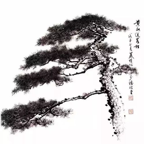  塔柏的寓意和象征，塔柏的寓意和象征意义，坚定不移的信念--第1张