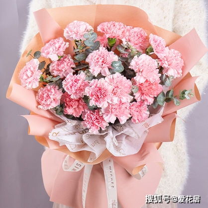  除了康乃馨还可以送母亲什么花，除了康乃馨，还可以送给母亲的花有，百合花、粉玫瑰、非洲菊、洋桔梗。这些花都适合送给母亲表达自己的感激和爱意。--第1张