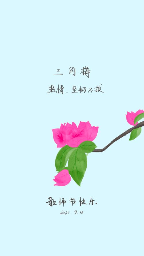  老师送什么花，一份深情的敬意与感谢，老师，献上您最美丽的花束，感谢您的辛勤付出--第1张