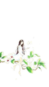  天女木兰花简笔画，天女木兰花简笔画画稿--第1张