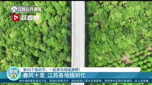  大量收购树苗，为绿色生态发展添砖加瓦，助力绿色生态发展，大量收购树苗--第1张