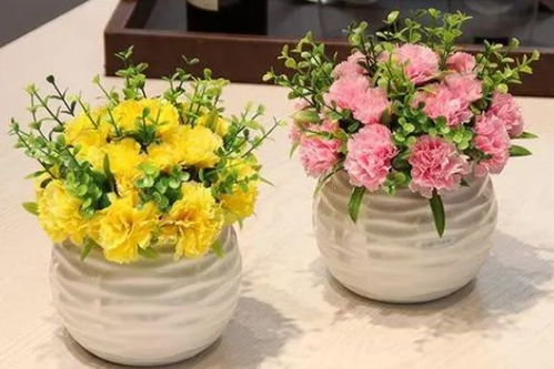  花卉品种大全，世界花卉品种大全--第1张