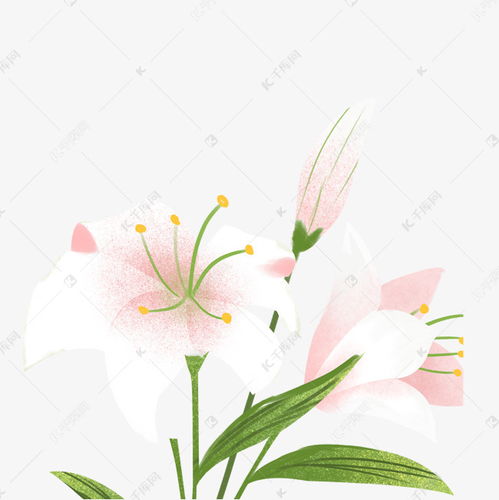  百合花下的美丽图片，百合花下的美丽花园图片--第1张