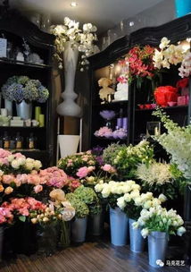  花店常用鲜花品种图片--第1张