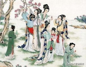  一年十二个月花开之谜--第1张