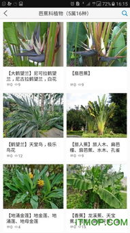  植物大全网站--第1张