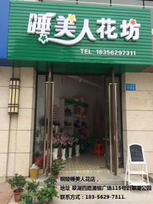  花店粉玫瑰多少钱一朵，花店粉玫瑰的价格，一朵粉玫瑰的价格是多少？--第1张