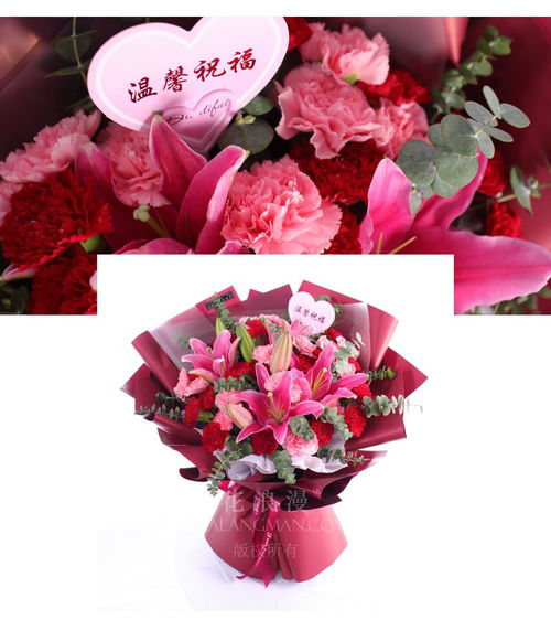  给老师应该送什么花--第1张