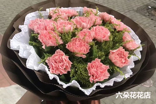  粉康乃馨的花语--第1张