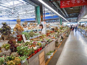  昆明鲜花批发市场地址大全--第1张