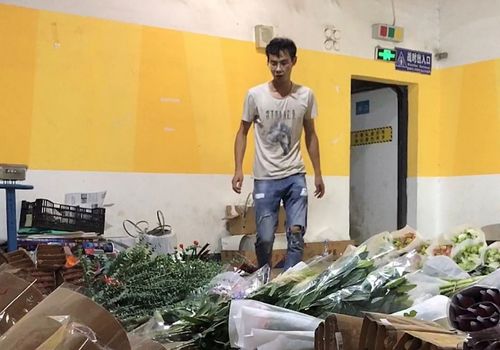  如何找云南鲜花批发一手货源，如何找到云南鲜花批发一手货源，一手货源与批发商合作技巧--第1张