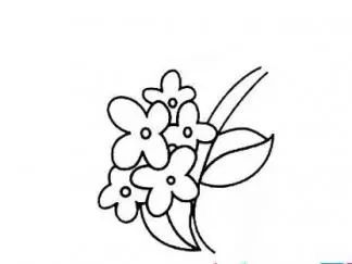  桂花树简笔画，桂花树简笔画，教你如何画--第1张
