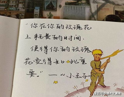  小王子经典语录，你是我的玫瑰--第1张