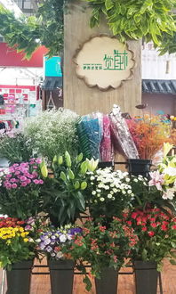  长宁区花店订花送花，浪漫与惊喜的完美结合--第1张