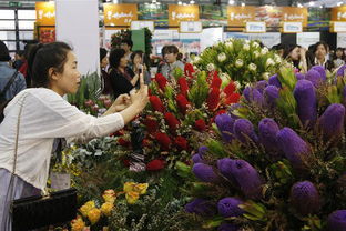 中国花卉园艺网，引领花卉园艺新潮流，中国花卉园艺潮流引领者，中国花卉园艺网--第1张