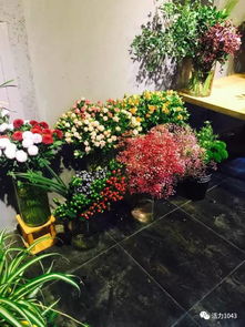  最近鲜花店，鲜花的美丽与温馨--第1张