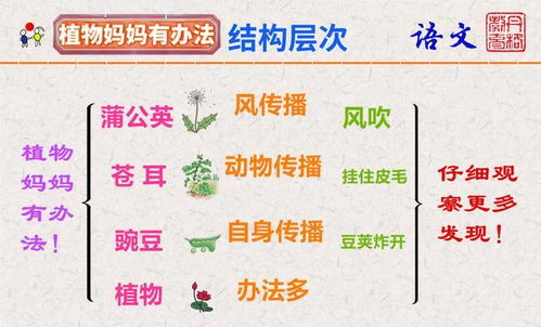  二年级第三课，植物传播种子的方法，二年级植物传播种子的方法，奇妙的种子旅行--第1张