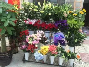  附近的花店在哪里便宜--第1张