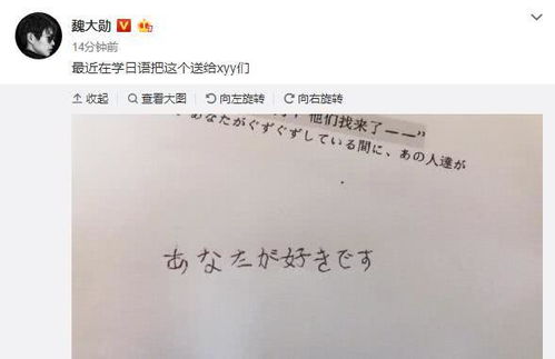  ，999朵玫瑰歌词表达的含义--第1张