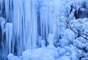  六月雪图片，一场视觉的盛宴--第1张