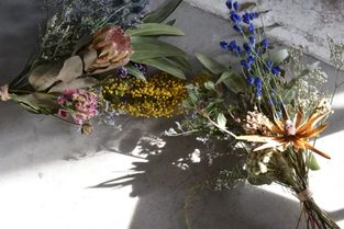  鲜花制作干花方法教程--第1张