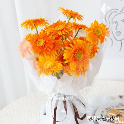  扶郎花花语，扶郎花的花语是，互敬、互爱、互助、友情、协力抵挡、同舟共济。--第1张