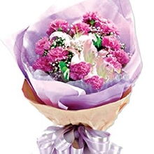 花之乐鲜花网，花之乐鲜花网，一站式鲜花订购平台--第1张