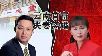  热播短剧，我在乡下当首富夫人我在乡下当首富孙晓慧免费全集，我在乡下当首富，孙晓慧免费全集--第1张