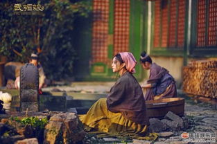  热播短剧女帝免费全集，一部颠覆传统的女性崛起传奇--第1张