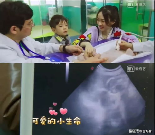  热播短剧为了救哥哥爸妈生了我免费全集，为了救哥哥爸妈生了我免费全集，爆笑短剧--第1张