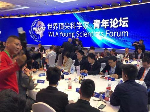  ，热播短剧破产老妈竟是世界首富免费全集--第1张