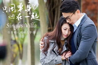  热播短剧在无人处偷偷爱你免费全集，热播短剧，无人之境，偷偷爱你免费全集--第1张