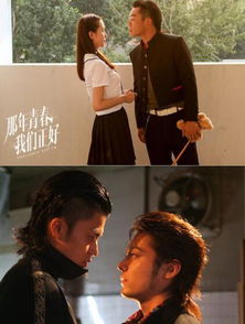  全能奶爸不好惹，热播短剧免费全集，家庭情感喜剧不容错过！--第1张