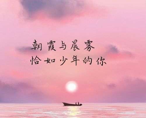  热播短剧世间万物不及你免费全集，爱情短剧，世间万物不及你--第1张