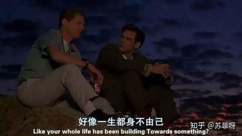  楚门飞婿，一部热播短剧的魅力全集--第1张