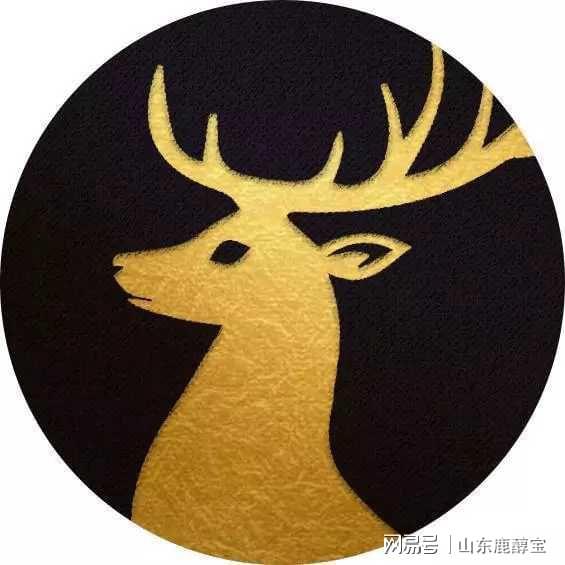 热播短剧萌宝来袭——失忆总裁想当我后爹？免费全集！--第1张