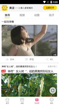  热播短剧工具免费全集，轻松追剧，无需付费，免费全集追剧神器，轻松观看热门短剧--第1张