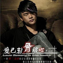  爱在刻骨铭心，一部热播短剧的深情与感动，爱在刻骨铭心，深情短剧的感动之力--第1张