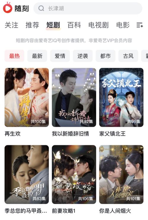  热播短剧银面将军免费全集，热播短剧银面将军免费全集观看--第1张