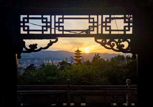  迷失春夜，张骏的免费全集热播短剧，带你领略不一样的情感世界，迷失春夜，张骏的情感世界之旅--第1张
