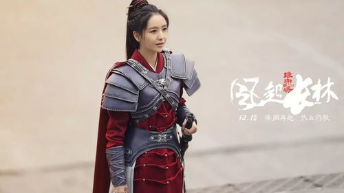  热播短剧勇闯江湖为女强免费全集——一部颠覆传统武侠的佳作--第1张