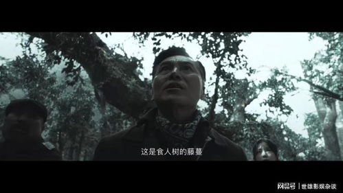  热播短剧新龙行天下免费全集，一部引人入胜的武侠传奇--第1张