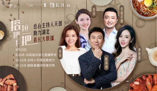  镇龙热播短剧免费全集，揭秘剧情背后的精彩故事，镇龙热播短剧背后的精彩故事，免费全集揭秘--第1张