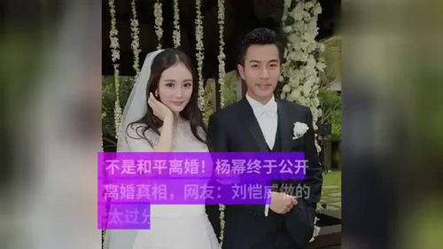  入赘五年离婚无敌免费全集热播短剧——揭示婚姻背后的真相--第1张
