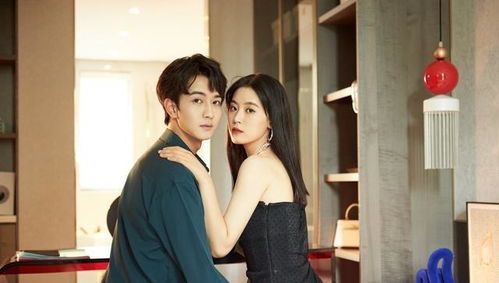  热播短剧闪婚娇妻美又飒免费全集——一部引人入胜的现代爱情故事--第1张
